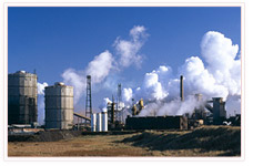 Factory Audit